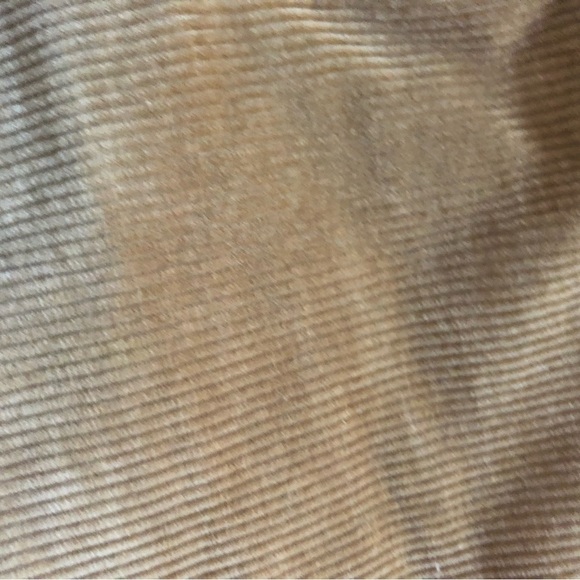 Aritzia Denim Forum Corduroy Yoko High rise Slim (size 25) - Picture 5 of 11